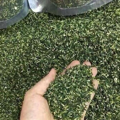 1kg hoa đu đủ đực đã sấy khô
