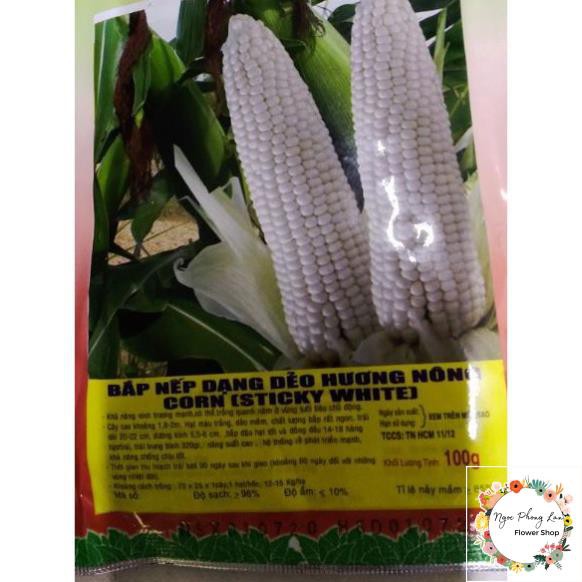 Giống Bắp Nếp Trắng Dẻo - Gói 100 Gram