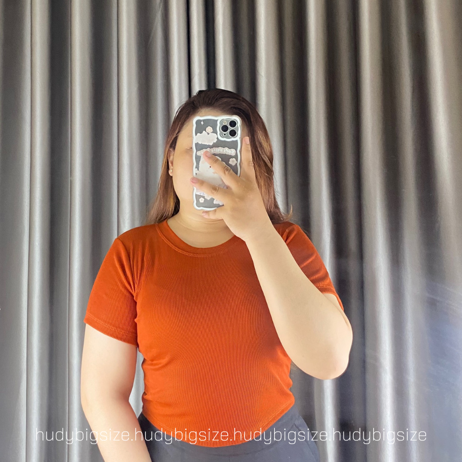 BIGSIZE ( 60-80KG) - ÁO CROPTOP THUN GÂN CỔ TRÒN BASIC