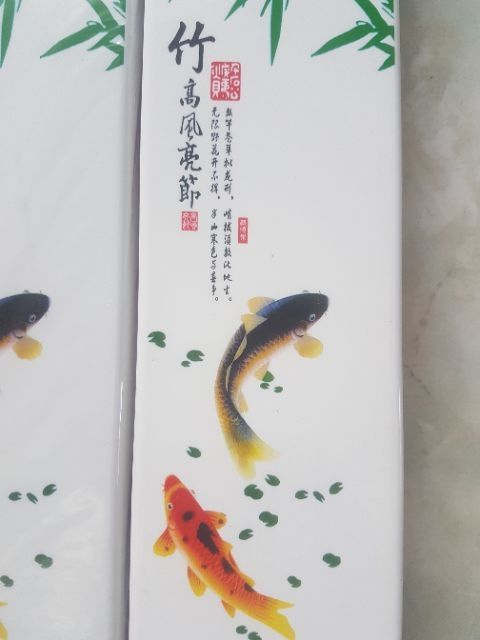 Hộp đựng phao đài 3 ngăn