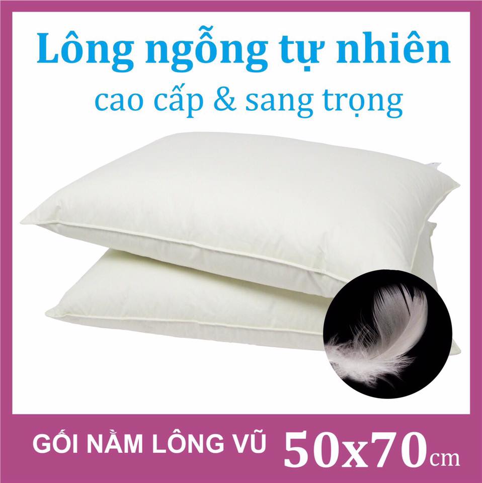 GỐI LÔNG NGỖNG - Gối nằm lông vũ Feather