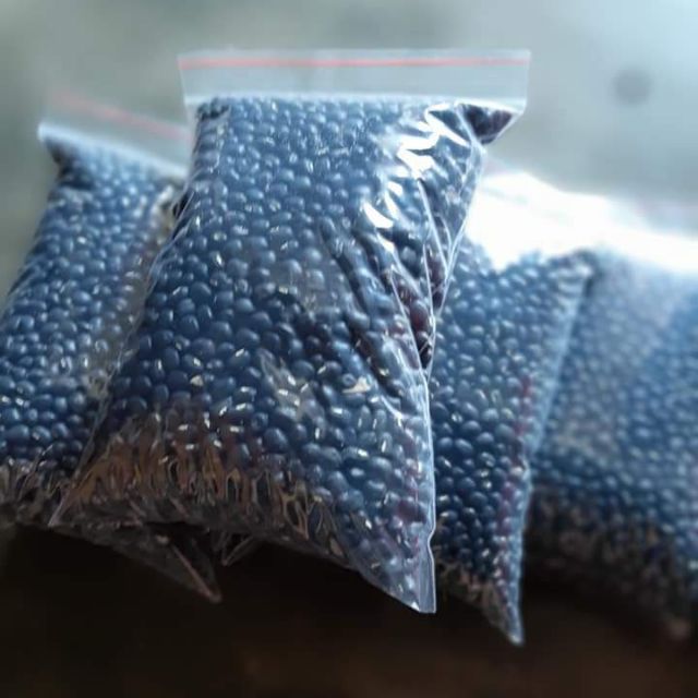 ĐỖ ĐEN LÒNG XANH _ ĐẦU VỤ 1kg - Đỗ đen - Hạt to