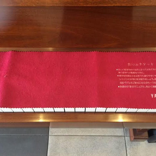 [HCM]Khăn phủ phím piano