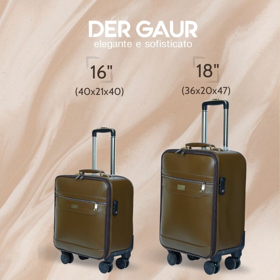 Vali Hành lý chất Da cao cấp DERGAUR DGJ A01 - 14