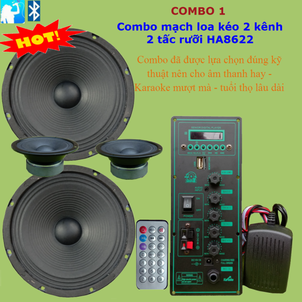[HCM]Combo mạch loa kéo đôi 2.5 tấc - mạch loa kéo 2 kênh sử dụng 2 IC CS8623E - combo 1
