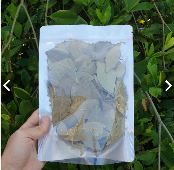 Lá nguyệt quế Khô (Lá Bay leaves)