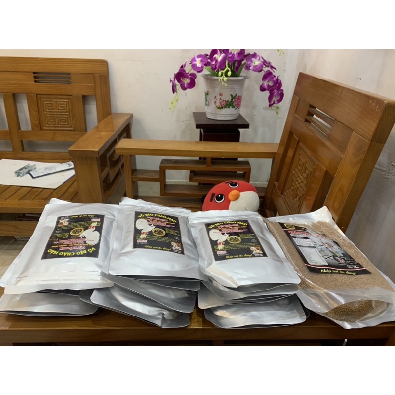 Cám Chào Mào Sinh Sản Lão Đại