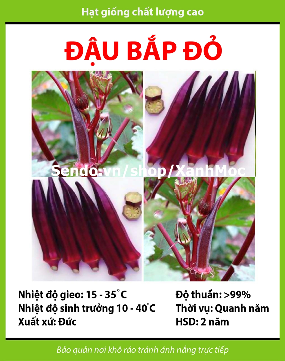 Hạt giống Đậu bắp đỏ tặng kèm kích mầm