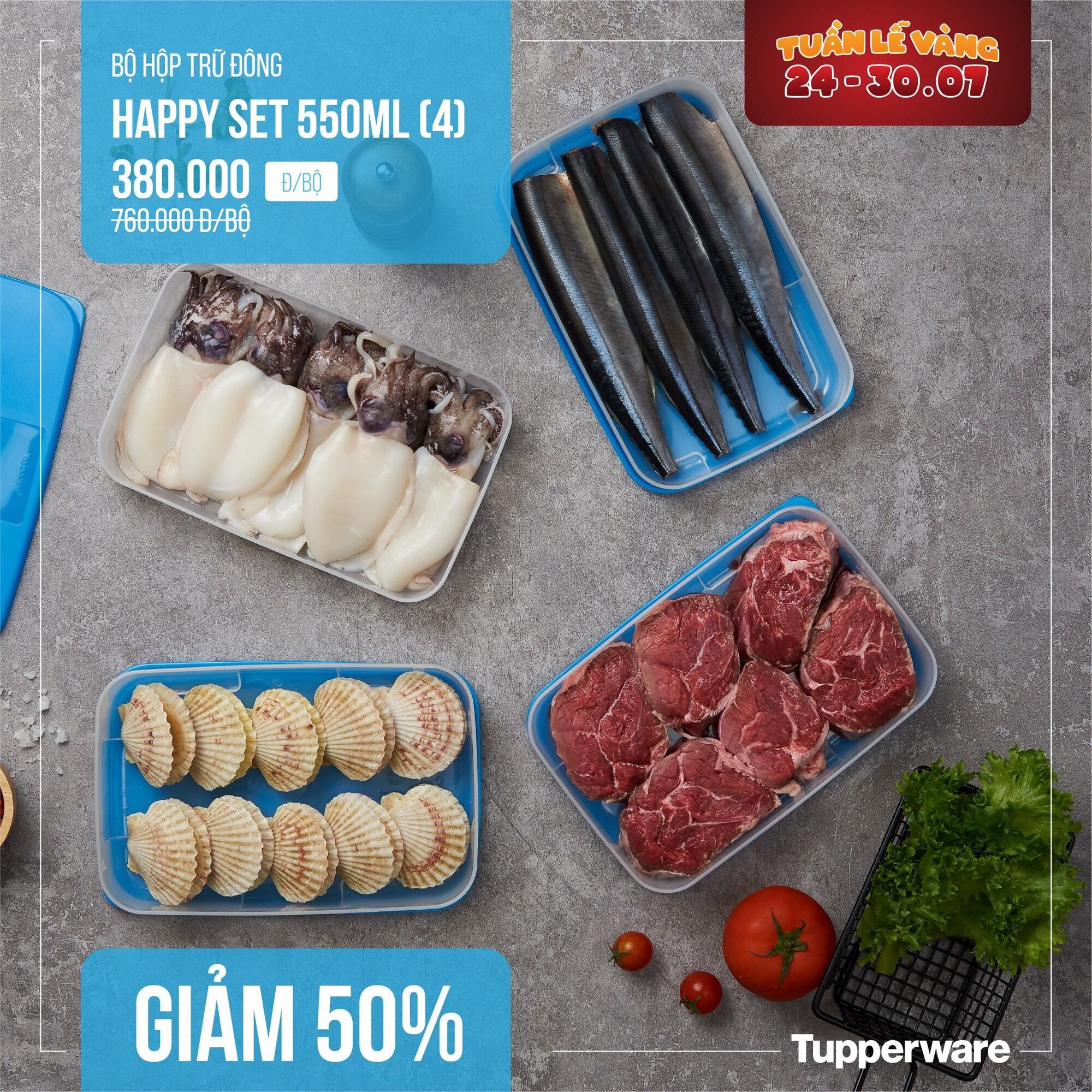 Hộp Trữ Đông Dẹt Tupperware 550ml - Tupperware Mall Chợ Lớn