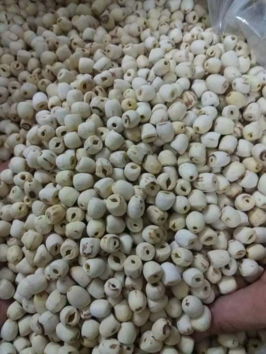 HẠT SEN KHÔ ĐỒNG THÁP 500g