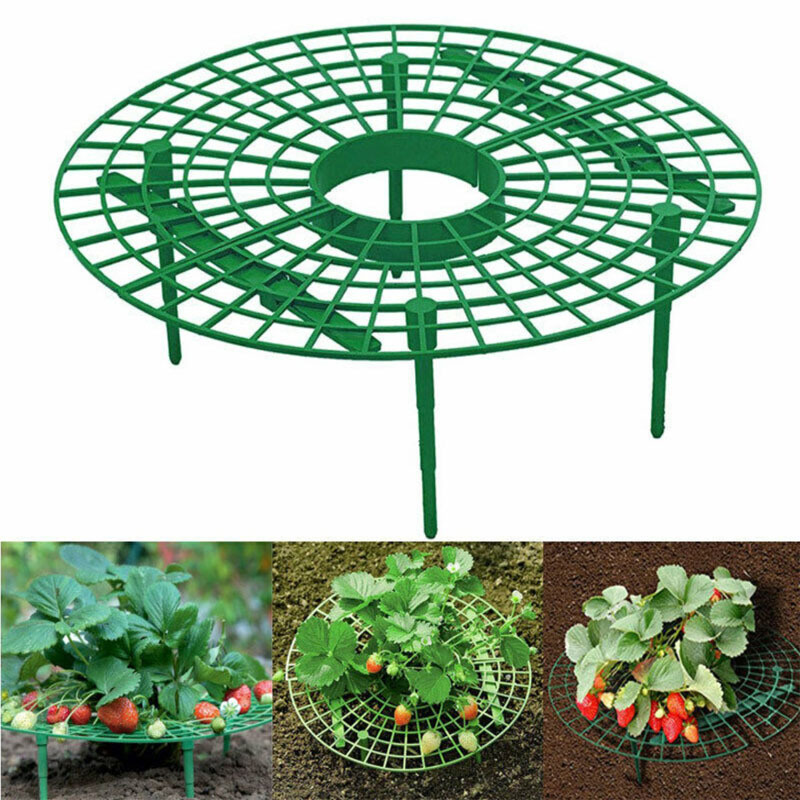 [HCM]Khung Giàn Giá Đỡ Trồng Dâu Tây ama93