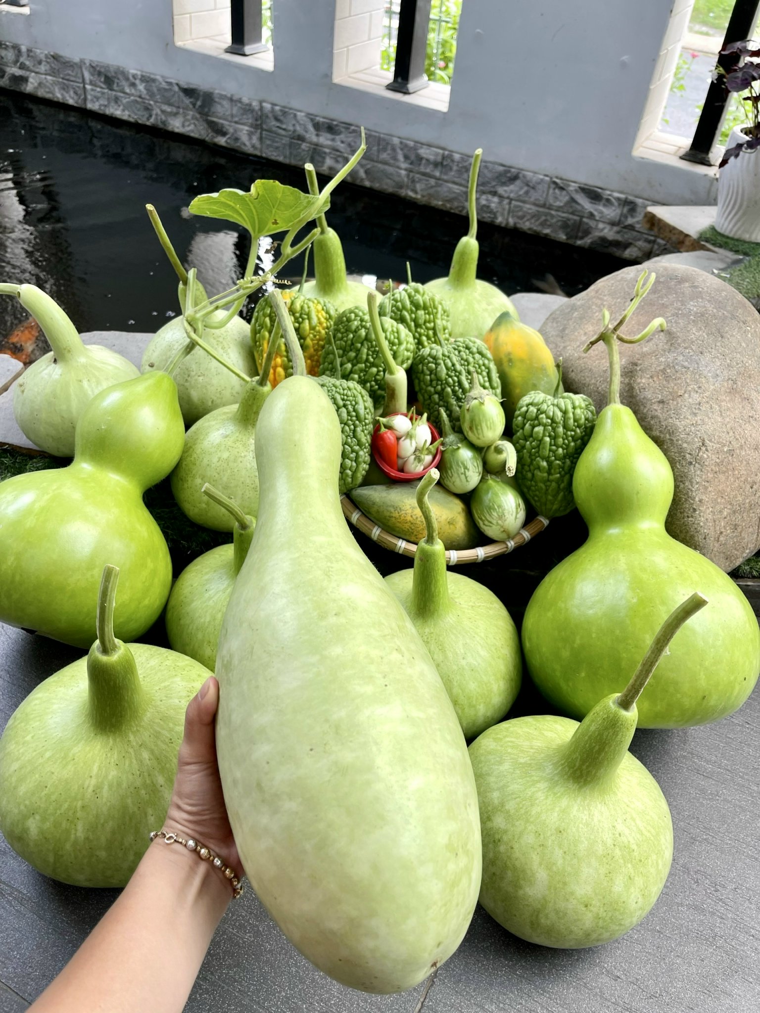 Phân hữu cơ vi sinh trichoderma +TE gói 1kg