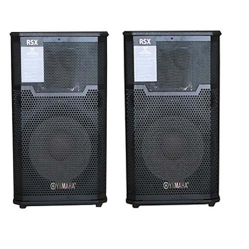 Loa đứng 3 tấc sơn karaoke gia đình