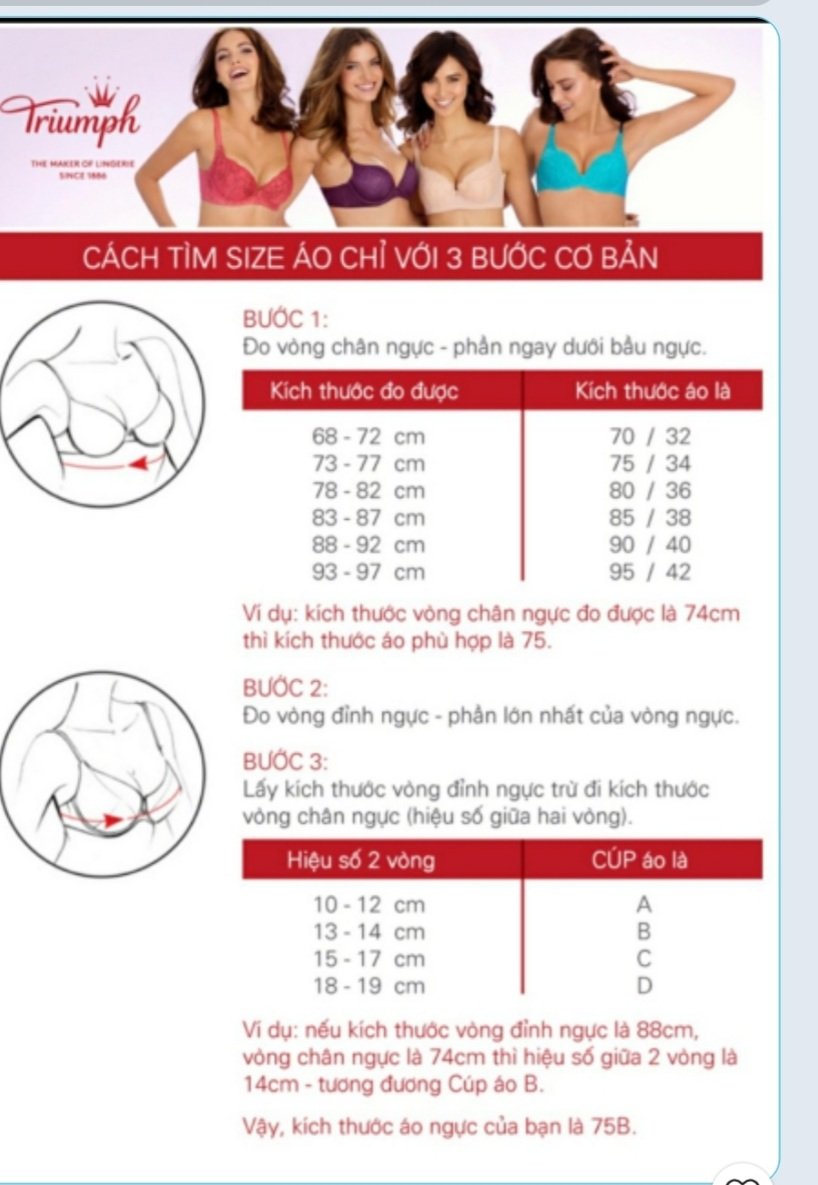 [HCM]Áo Lót Triumph D 178 WHPD