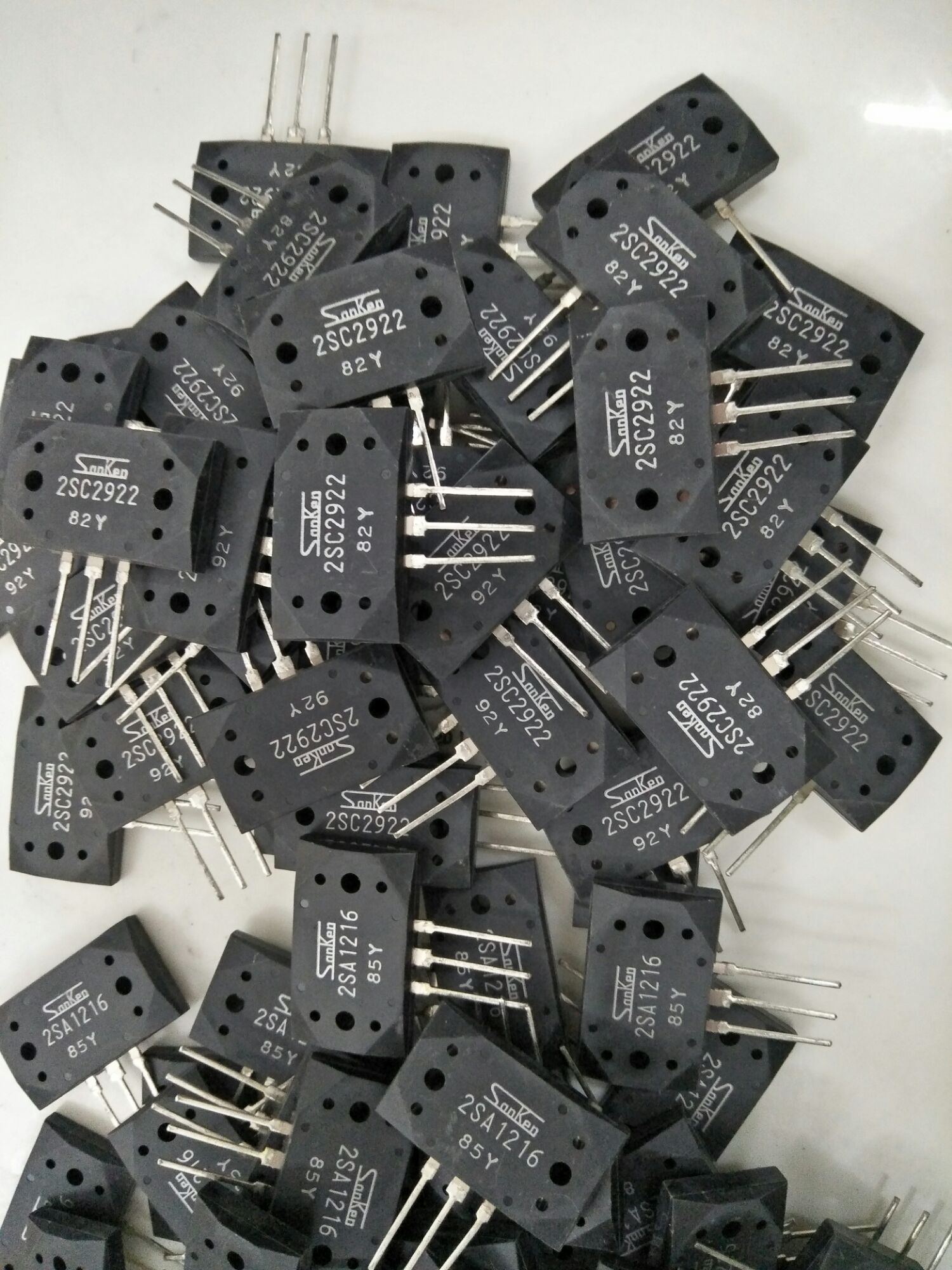 Cặp sò sanken loại 1 ( tặng ốc, lót sò)