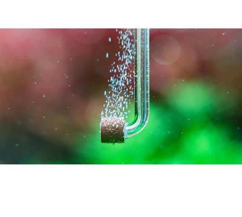 Sủi Co2 Neo Chất Lượng Gia Tốt 21 Lazada Vn Sủi Co2 Neo Chất Lượng Gia Tốt 21 Lazada Vn