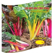 hạt giống cải bảy sắc cầu vồng