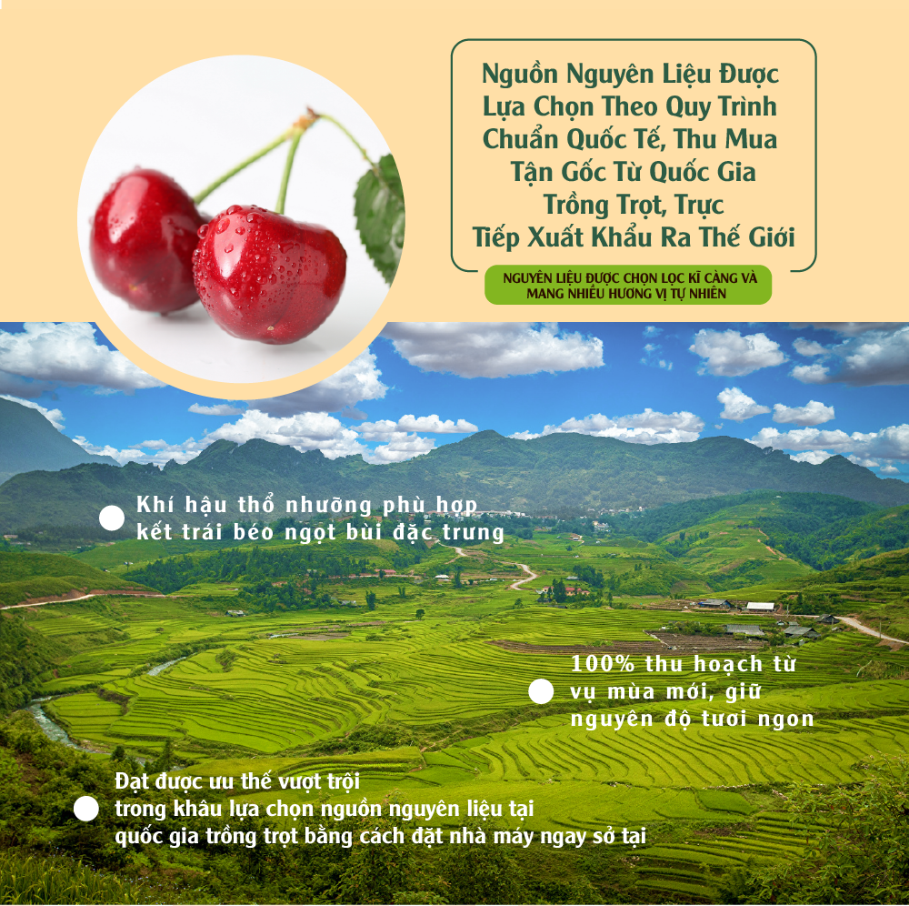 [Chính hãng] Anh đào khô nhập khẩu 100g Dan D Pak