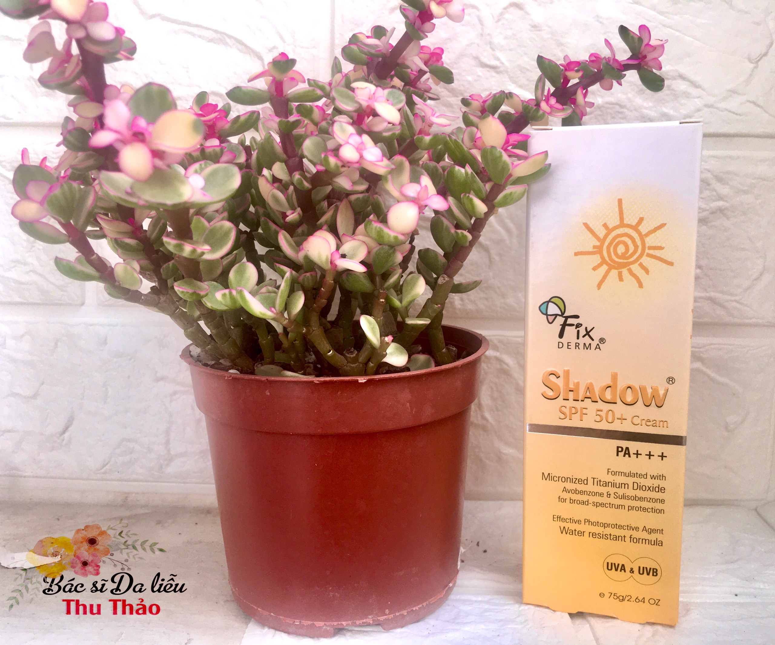[HCM]KEM CHỐNG NẮNG FIXDERMA SHADOW SPF 50+ CREAM