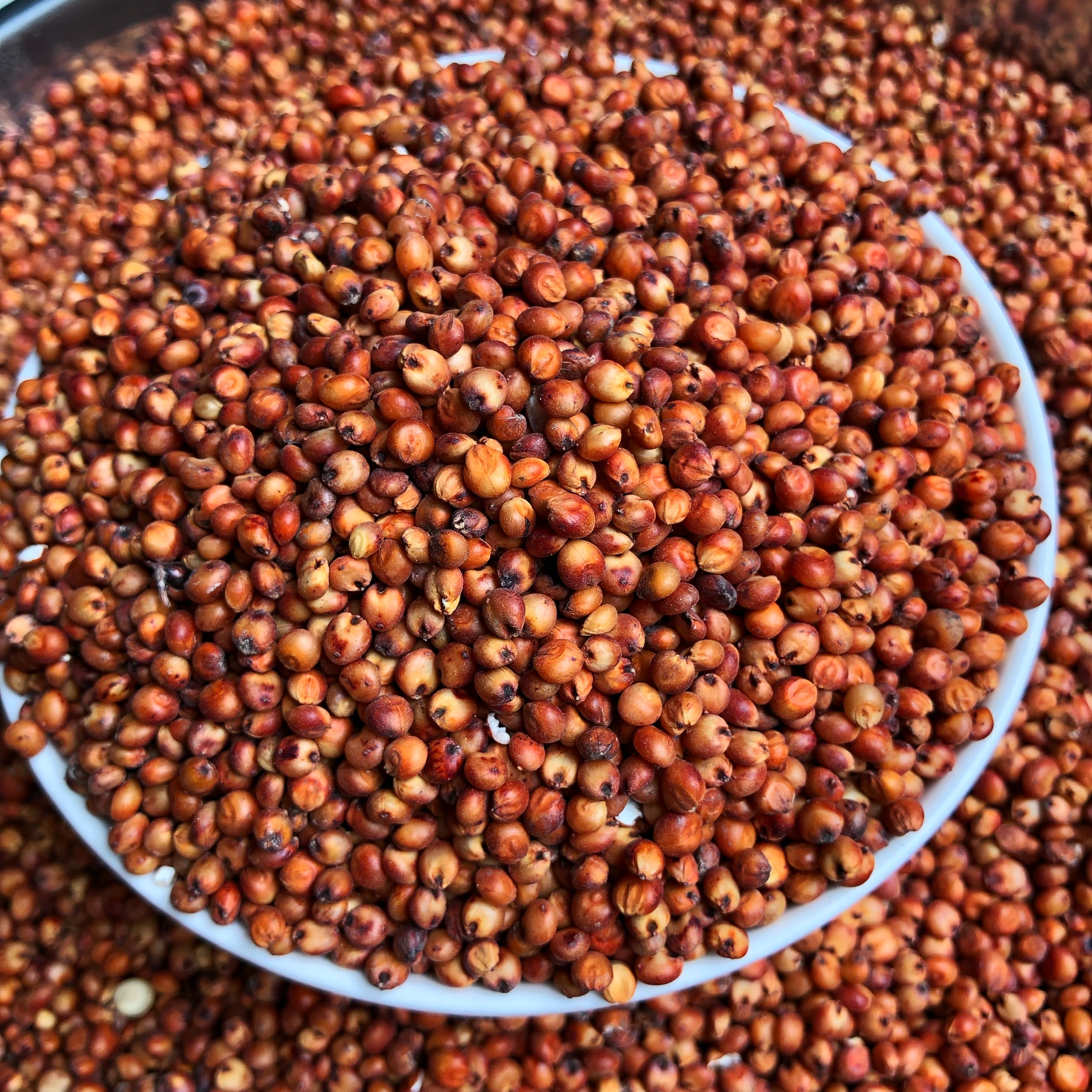 1kg hạt Bobo đỏ  , Ý Dĩ ( thức ăn yêu thích gà đá, chim cảnh... )