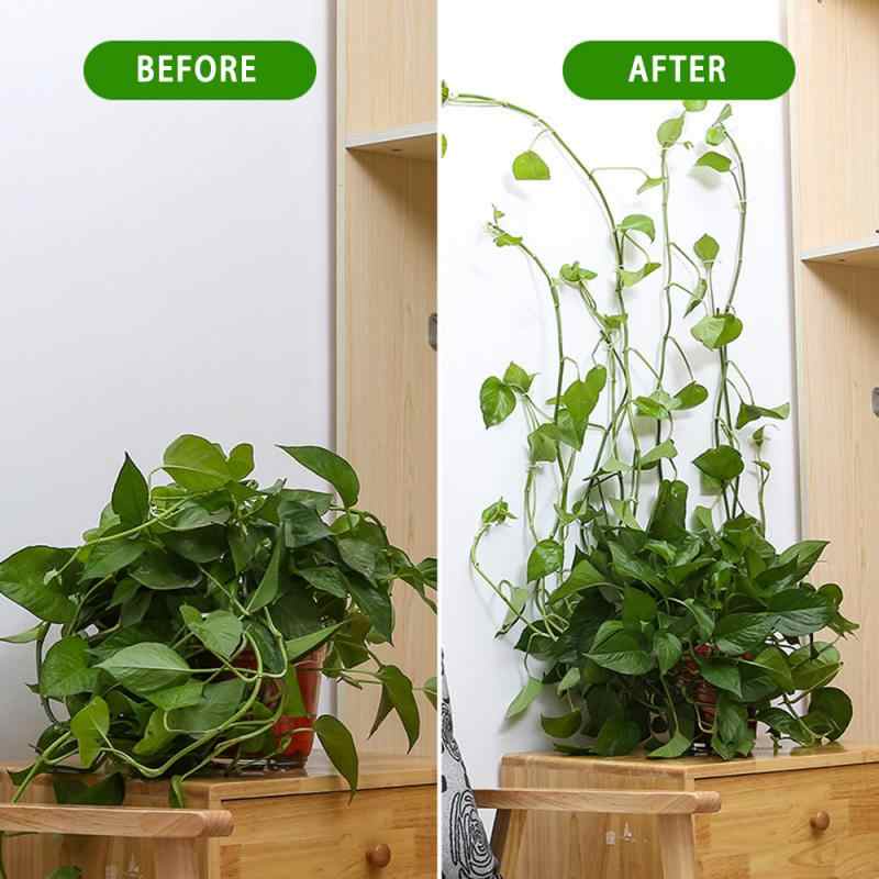 Bộ ghim kẹp cố định cho cây dây leo