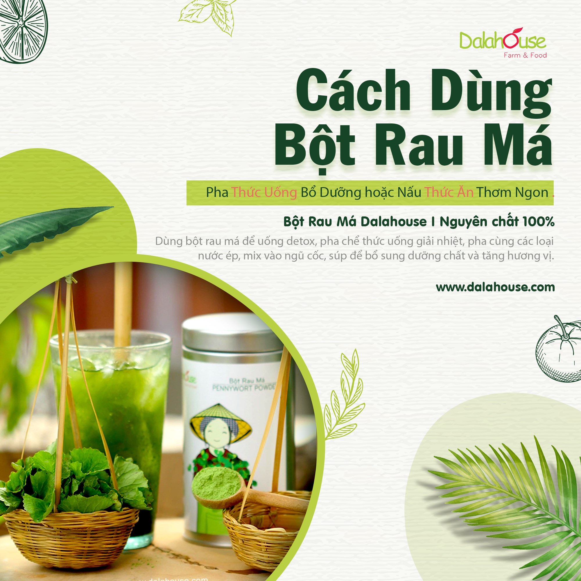 Bột Rau Má Hữu Cơ DalaHouse Hộp 150 gram ( 100% Natural Pennywort Powder)