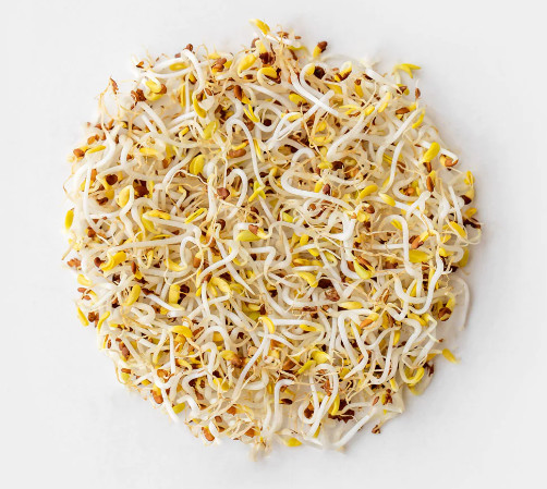 [Chỉ Giao HCM] Giá Sống - 200g