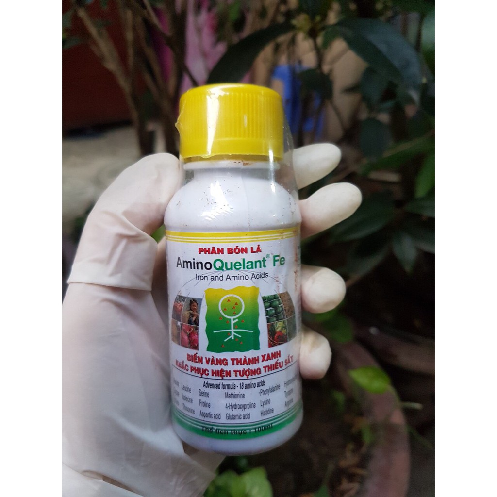 Phân bón lá cao cấp Amino Quelant Fe bổ sung sắt chai 100ml, cam kết sản phẩm đúng mô tả, chất lượng đảm bảo
