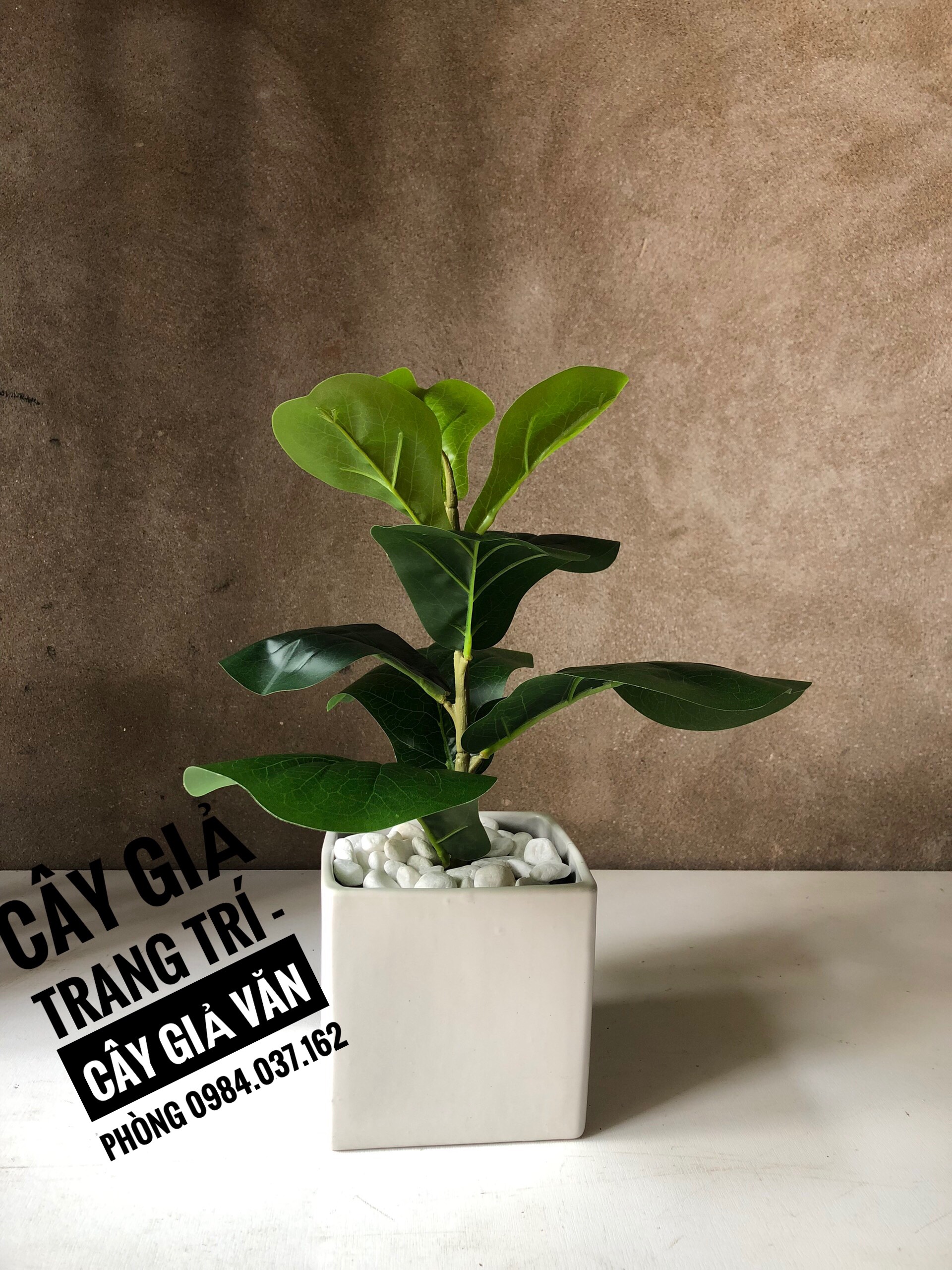 Cây Bàng Singapo Giả Mini Để Bàn- Cây Giả