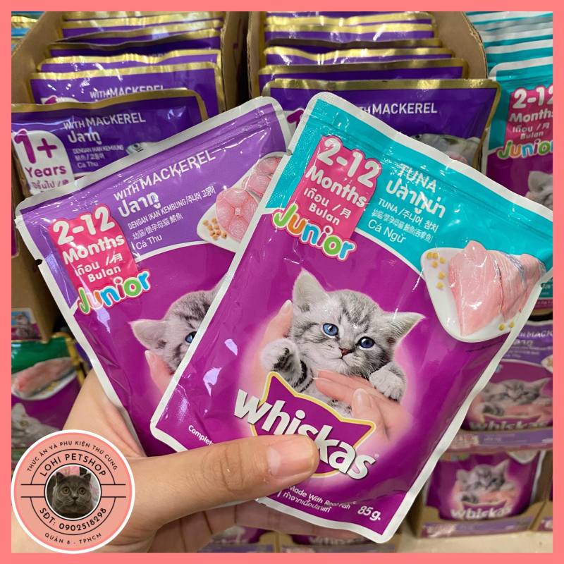Combo 12 gói pate Whiskas cho mèo con (chọn vị)