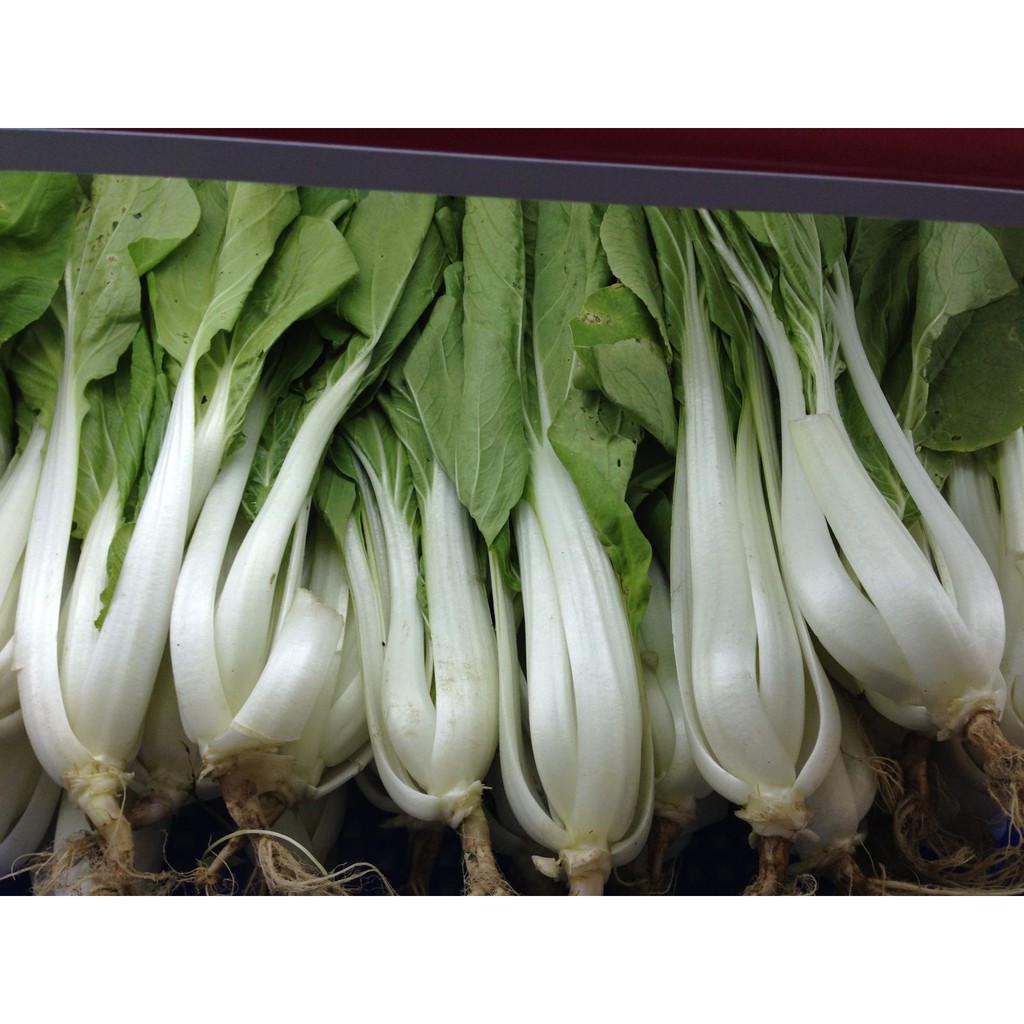 HẠT GIỐNG CẢI BẸ TRẮNG - GÓI 20 GRAM