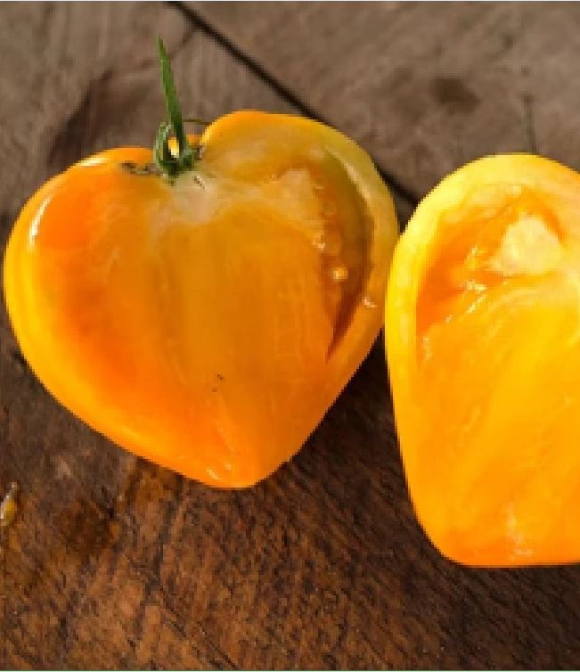Hạt giống cà chua trái tim vàng - gói 30 hạt