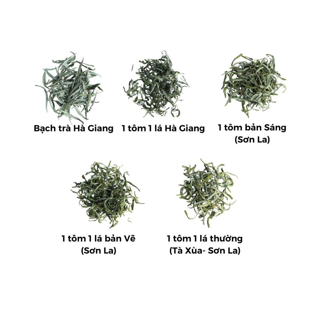 100g Bạch Trà Shan Tuyết Tây Côn Lĩnh