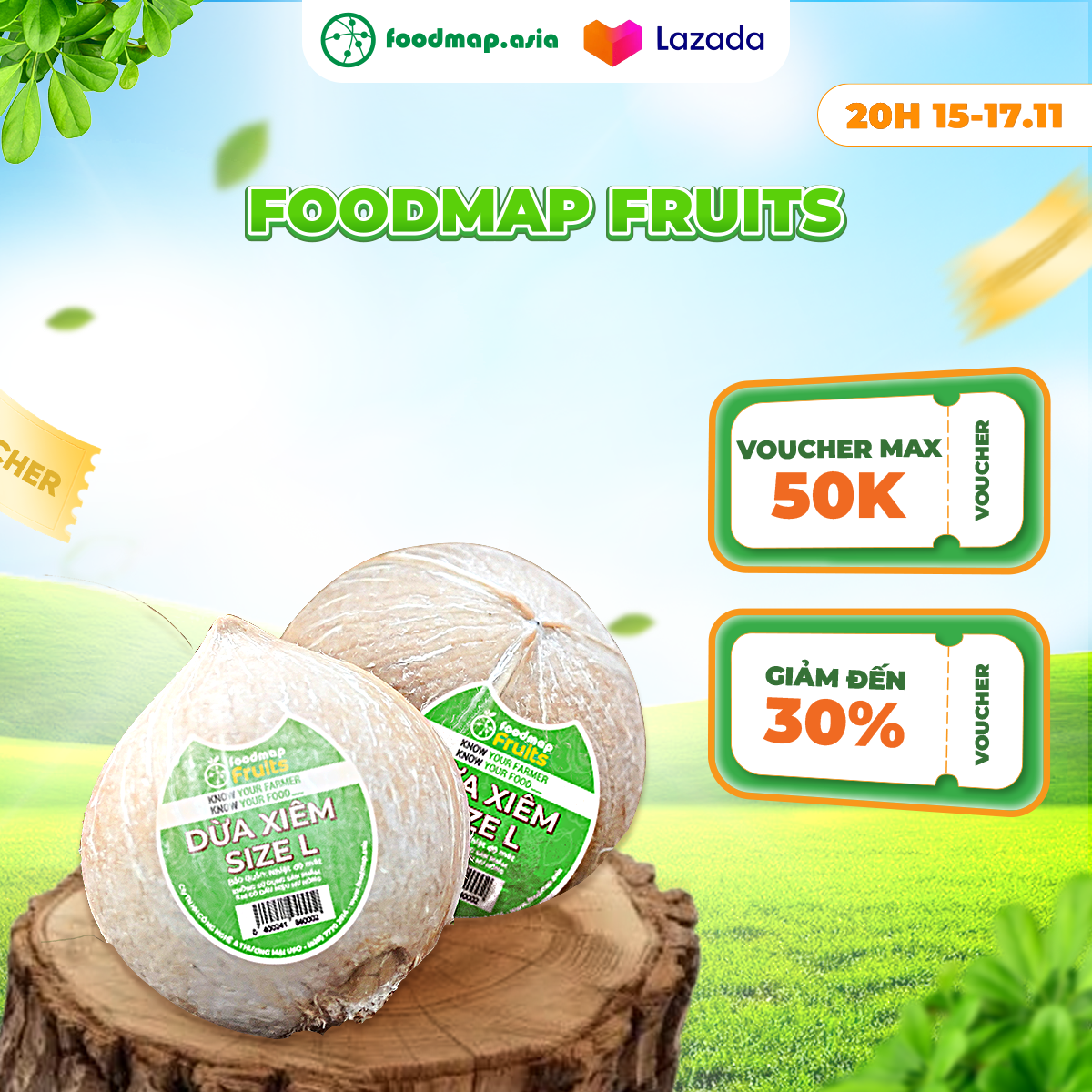 Dừa Xiêm Tươi Ngon, Ngọt Nước - Size M - 350G/Trái - FoodMap Fruits