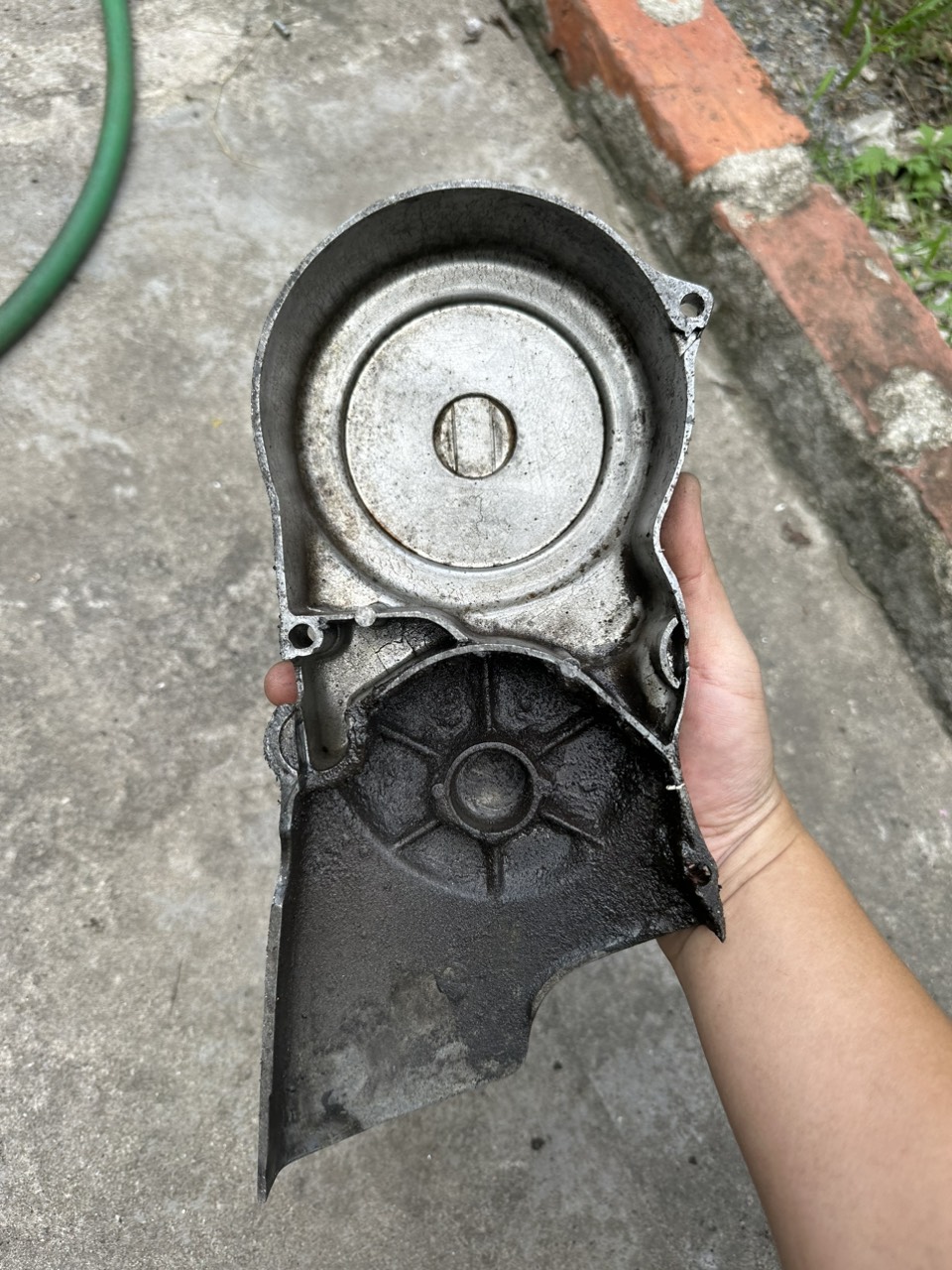 Mang cá honda chaly 81 ( hàng tháo xe)
