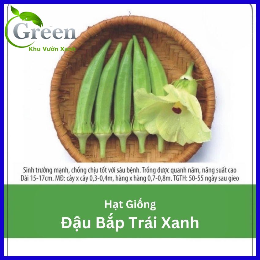 Hạt giống đậu bắp trái xanh op