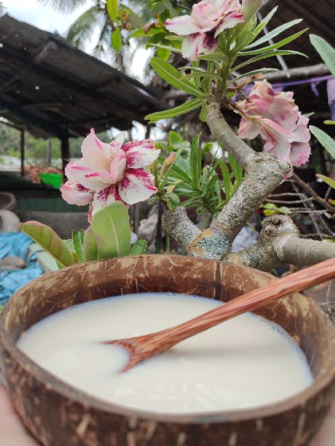 Chén Ăn Cơm Gáo Dừa - Bát Gáo Dừa