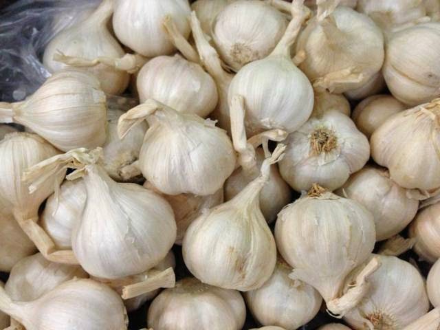 [HCM]TỎI LÝ SƠN -QUẢNG NGÃI- 1KG