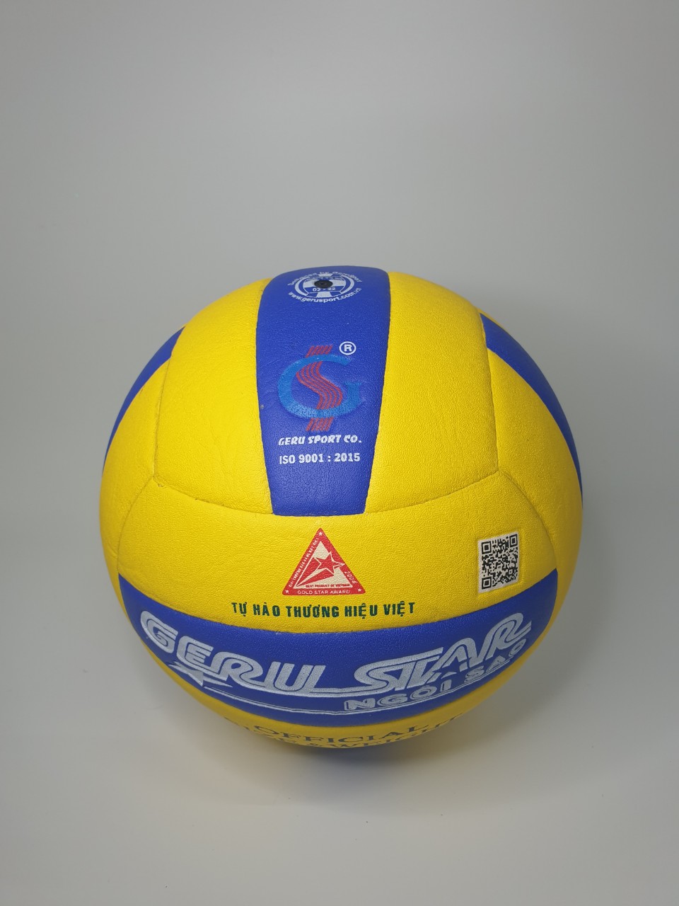 Bóng chuyền VTVcup Số 5 GeruSport