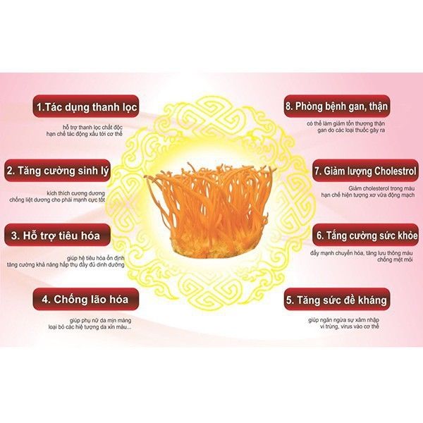 100g ĐÔNG TRÙNG HẠ THẢO SẤY KHÔ