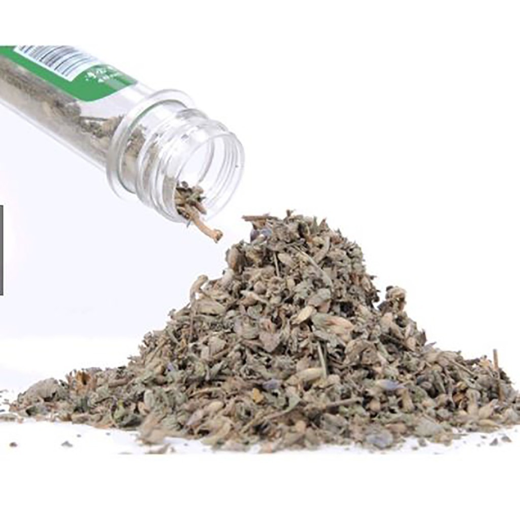 Catnip - Ống Cỏ Bạc Hà Cho Mèo