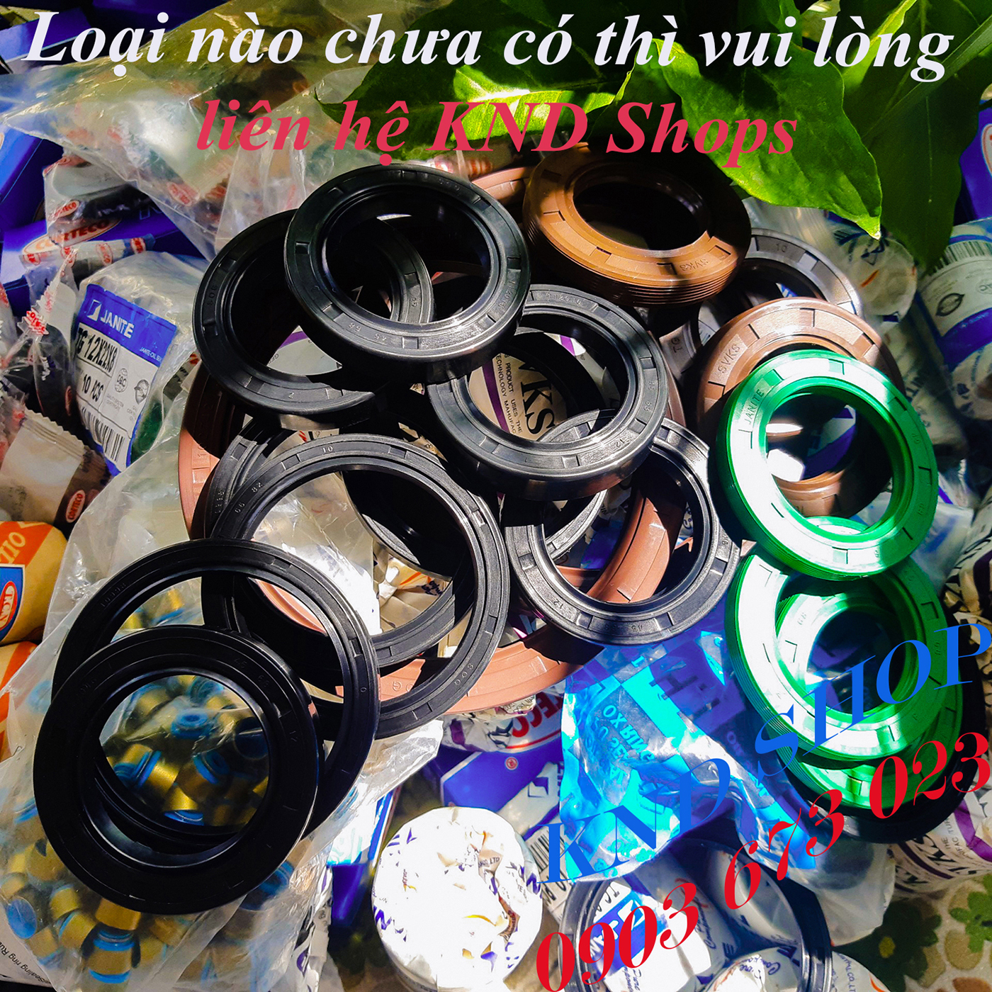 [01 PCs] Oil Seal NOK Nactec SOG,... Brand type TC/SC/TG with Rod from size 38mm