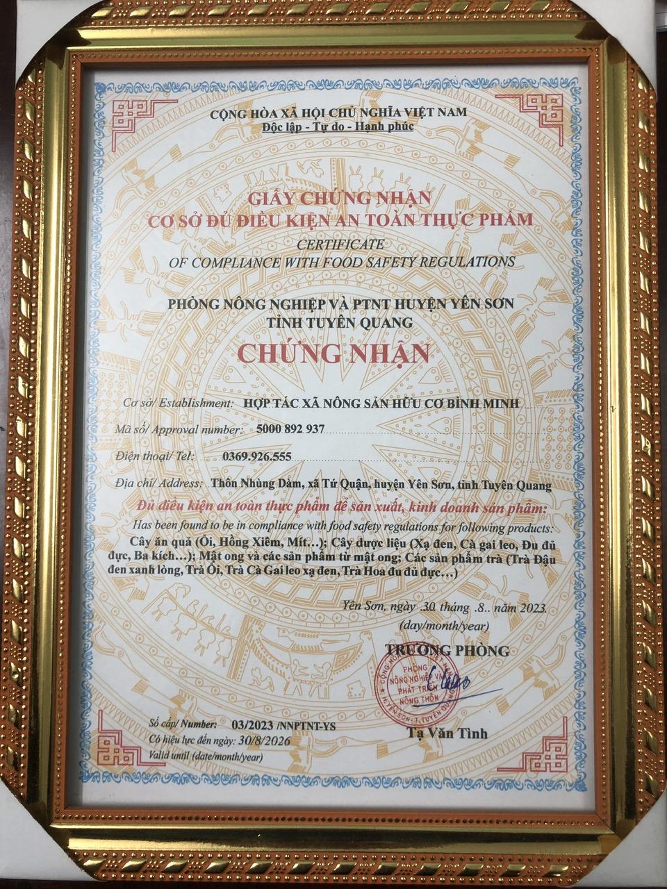 TRÀ ỔI (trà túi lọc)