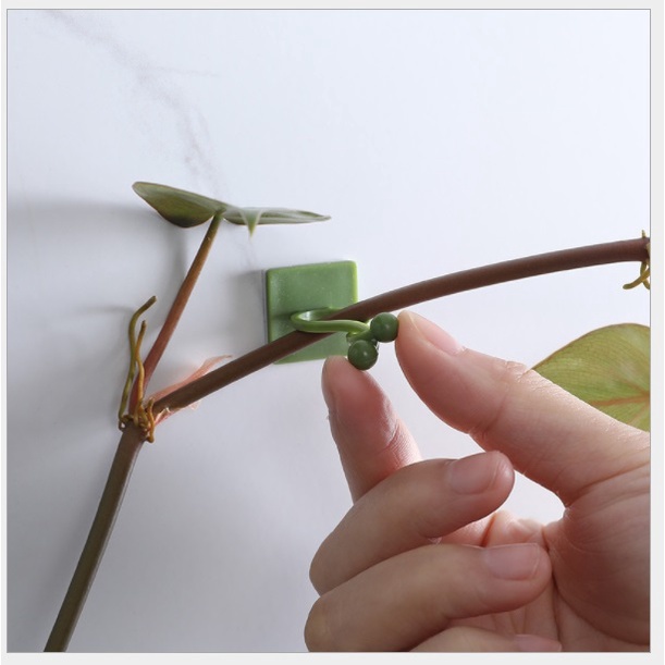 Bộ ghim kẹp cố định cho cây dây leo