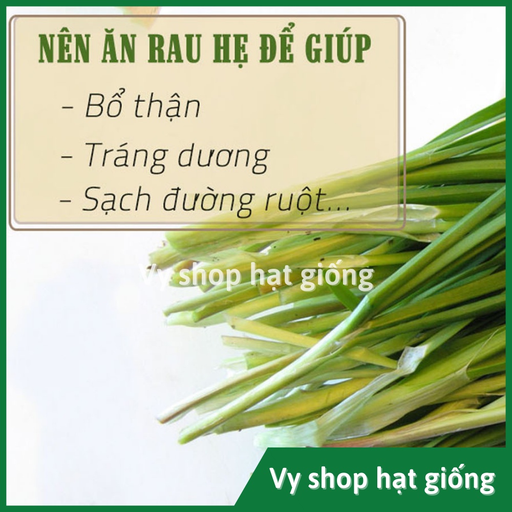 Hạt giống hẹ ăn lá Thái Lan gói 230 hạt