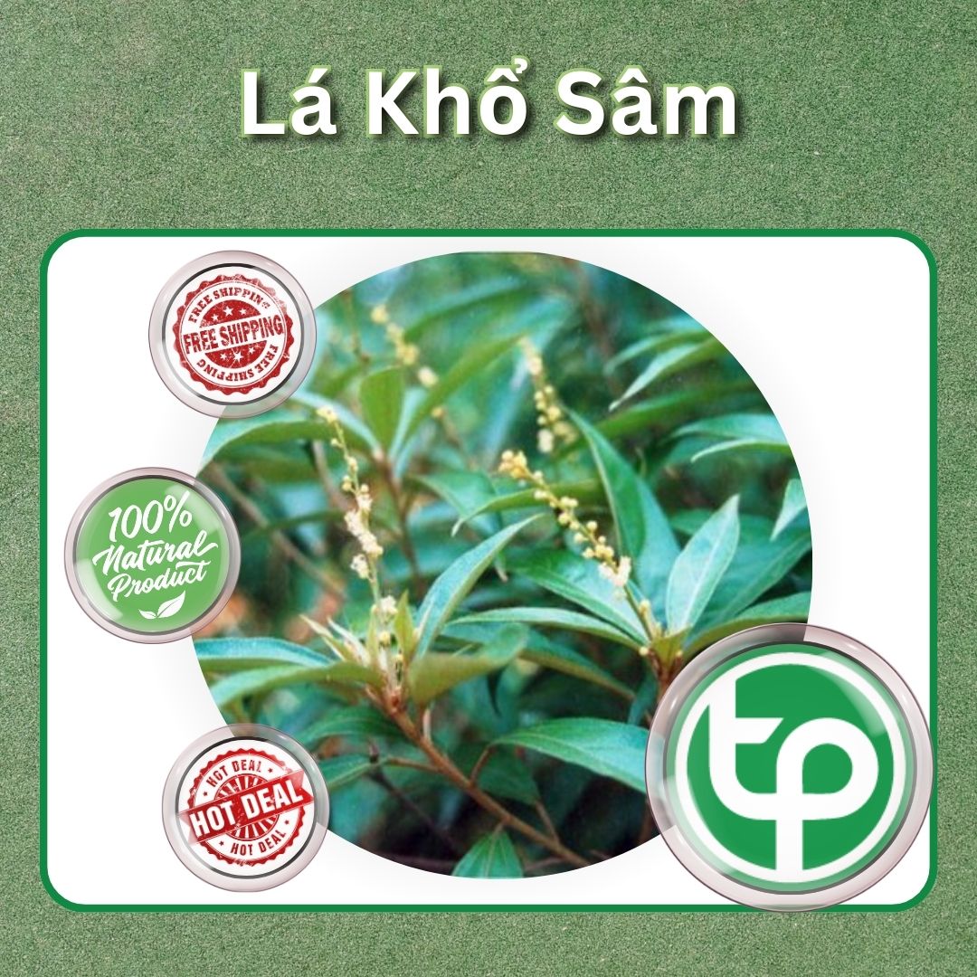 Lá khổ sâm Tấn Phát túi lớn loại 1kg - Hỗ trợ cải thiện sức khoẻ dạ dày - Giảm nguy cơ mắc các bệnh lý liên quan đến tim mạch