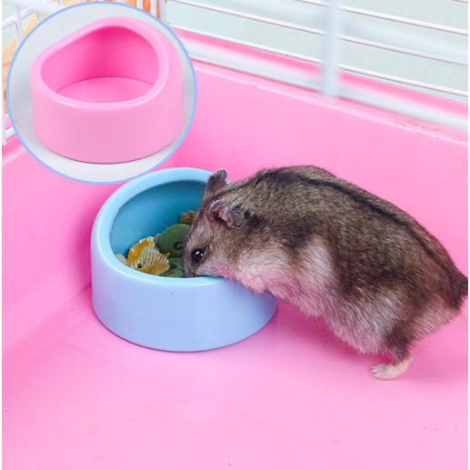 [Hoàn tiền 10%]Bát ăn nhựa cho hamster