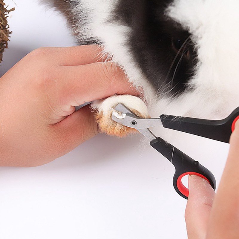 Kiềm cắt móng dành cho thỏ, bọ, chó mèo con - T3 PETS SHOP