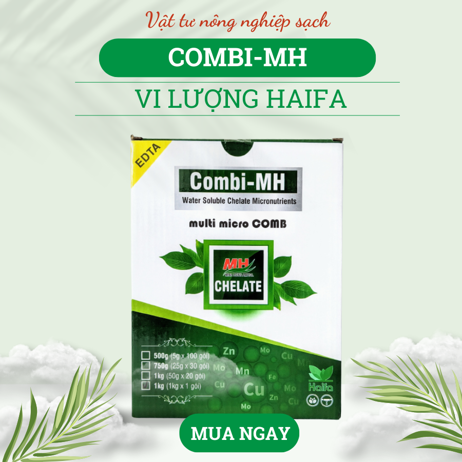 Phân Vi lượng Combi-MH Haifa (hộp 1kg)