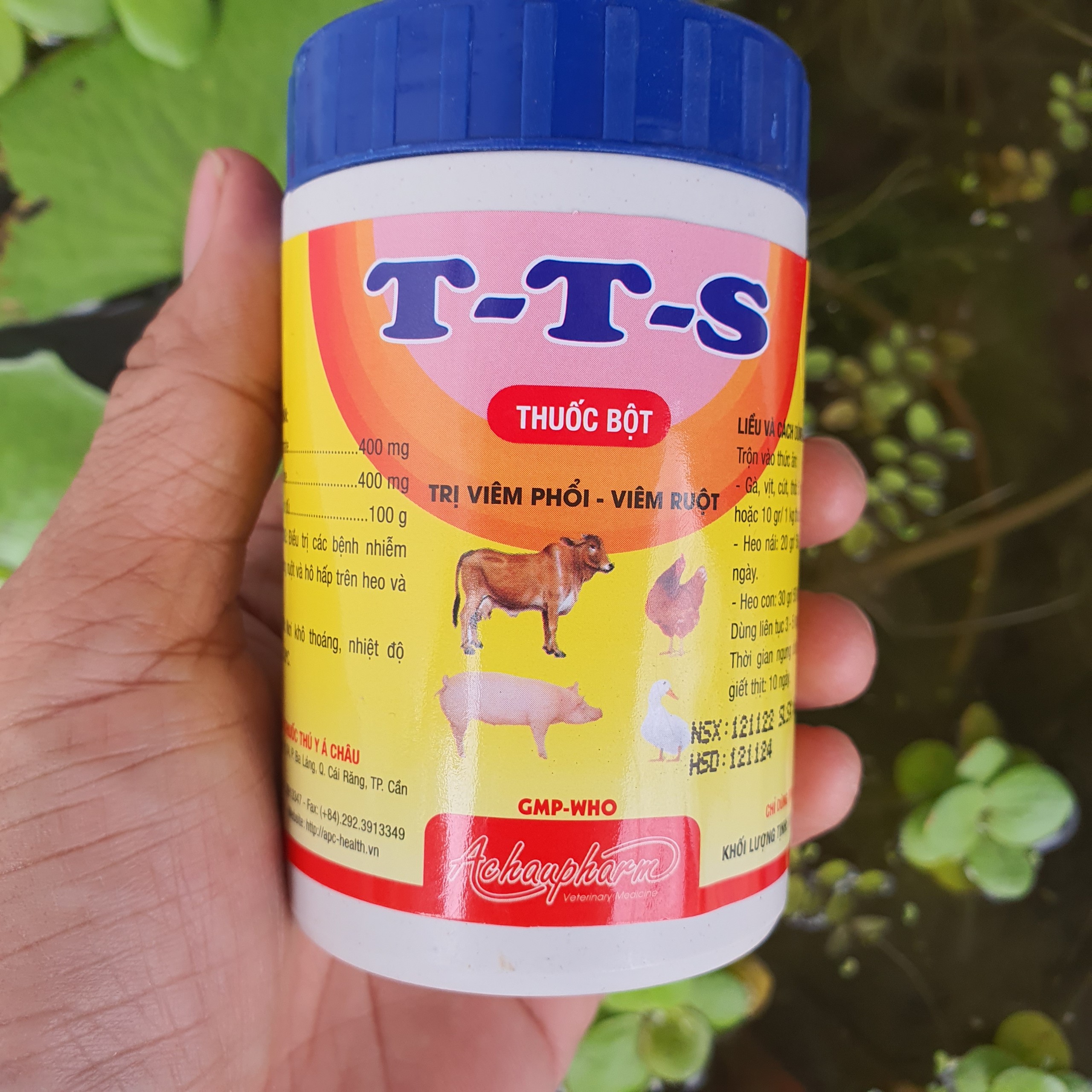 T-t-s medicine powder repairation pneumonia
